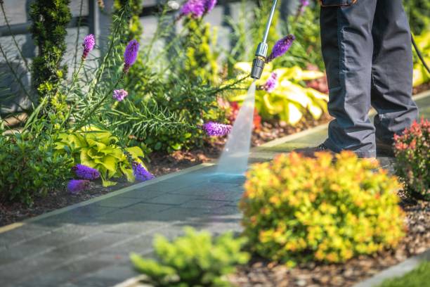 Best Animal Enclosure Cleaning  in Lyons, WI